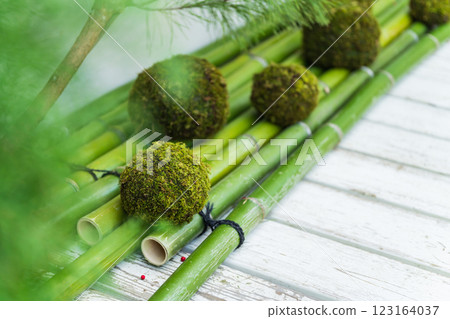 苔蘚球和新年裝飾圖像 苔蘚球和新年裝飾圖像 123164037