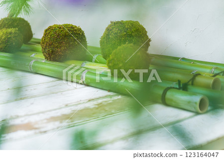 Moss ball and New Year's decoration image 123164047