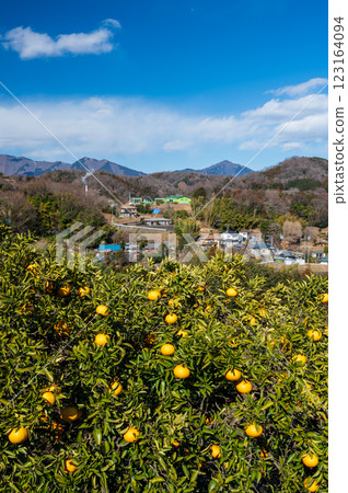 Fruit trees and a rural view 123164094