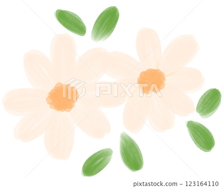 Illustration of a small white Daisy flower blooming Illustration of a small white Daisy flower blooming 123164110