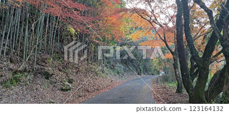 Autumn leaves scenery 1 Autumn leaves scenery 1 123164132