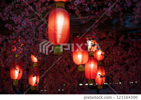 Red Chinese Lanterns and Blossom Tree at night 123164300