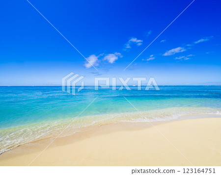 夏季、大海和海灘圖像夏威夷 夏季、大海和海灘圖像夏威夷 123164751