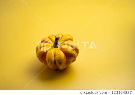 黃色背景上南瓜 黃色背景上南瓜 123164827