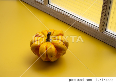 黃色背景上南瓜 黃色背景上南瓜 123164828
