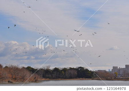 天空中滿是野鳥和從大阪伊丹機場起飛的飛機-伊丹小南池公園的城市綠洲 天空中滿是野鳥和從大阪伊丹機場起飛的飛機-伊丹小南池公園的城市綠洲 123164978