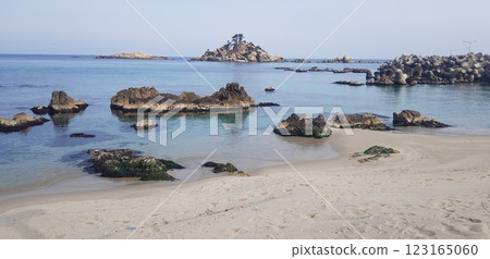 beach with seagull 123165060