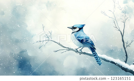 Watercolor illustration of blue jay perched on snow-covered branch in serene winter landscape. Concept of avian beauty, peaceful nature, winter wonderland, elegant bird art. Copy space 123165151