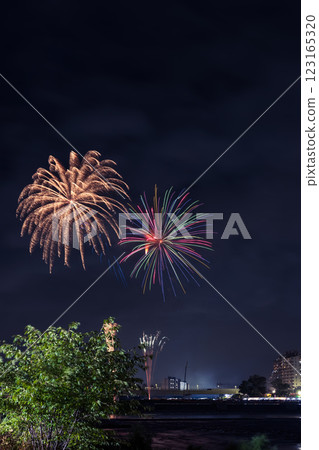 Tama River Fireworks Festival Kanto Tama River Fireworks Festival Kanto 123165320