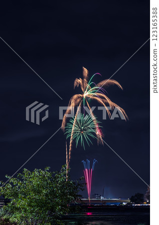 Tama River Fireworks Festival Kanto Tama River Fireworks Festival Kanto 123165388