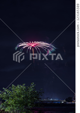 Tama River Fireworks Festival Kanto Tama River Fireworks Festival Kanto 123165389