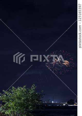 Tama River Fireworks Festival Kanto Tama River Fireworks Festival Kanto 123165397