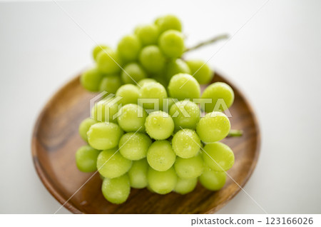 葡萄之王閃耀馬斯喀特 123166026