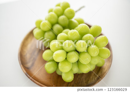 King of Grapes Shine Muscat 123166029