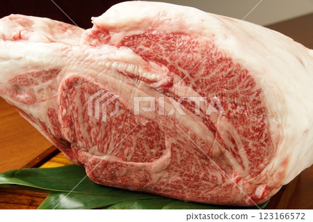 Marbled block of Yamagata beef Marbled block of Yamagata beef 123166572