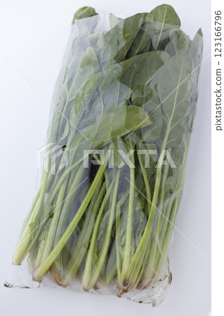新鮮蔬菜：菠菜 123166796
