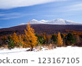 青森縣青森市茅野高原的紅葉與雪景 123167105