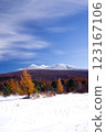 青森縣青森市茅野高原的紅葉與雪景 123167106