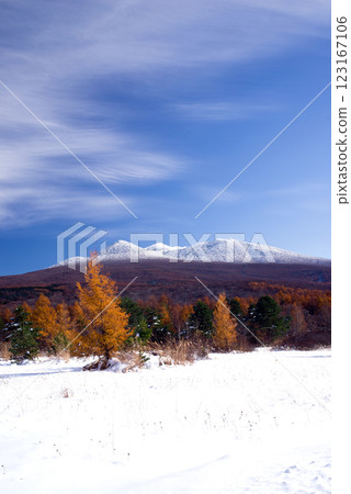 Autumn leaves and snow scenery at Kayano Plateau, Aomori City, Aomori Prefecture 123167106