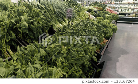 A Fresh green vegetables grocery store vibrant healthy produce supermarket aisle food leafy greens market shopping agriculture organic healthy eating vitamin diet nutrition freshness natural green 123167204