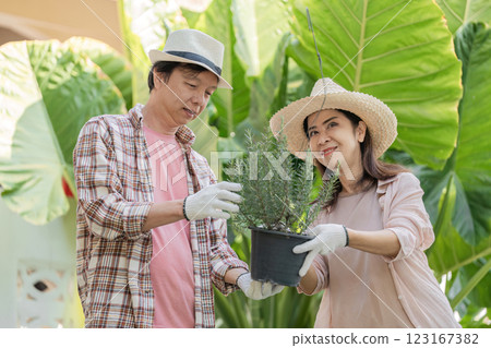 Elderly Asian couple gardening together, planting herbs in a sunny outdoor setting. 123167382