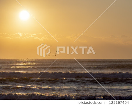 沐浴在朝陽中的天空與大海:九十九里濱 沐浴在朝陽中的天空與大海:九十九里濱 123167404