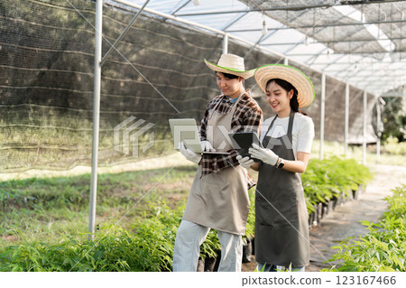 Happy Couple Gardening Cannabis Plants in Greenhouse with Digital Tablets for Modern Agriculture and Sustainable Farming Practices 123167466