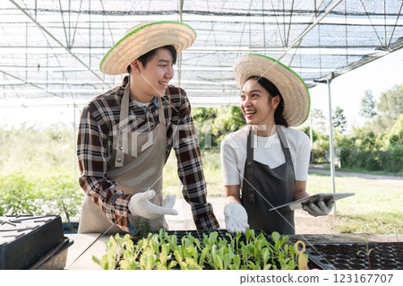 Happy Couple Gardening Together with Herbs and Cannabis in a Greenhouse Setting, Embracing Sustainable Living and Organic Cultivation Happy Couple Gardening Together with Herbs and Cannabis in a Greenhouse Setting, Embracing Sustainable Living and Organic Cultivation 123167707