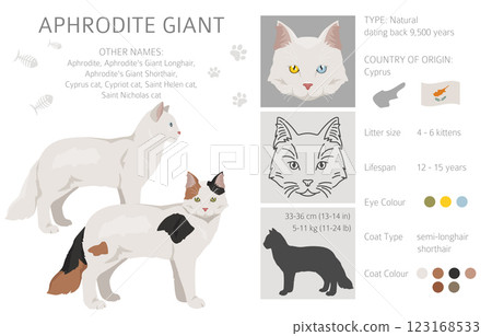 Aphrodite Giant. Cyprus cat clipart. All coat colors set.  All cat breeds characteristics infographic 123168533