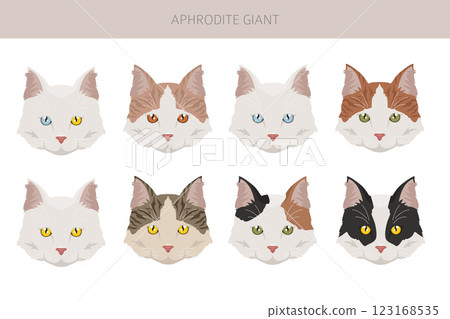 Aphrodite Giant. Cyprus cat clipart. All coat colors set.  All cat breeds characteristics infographic 123168535