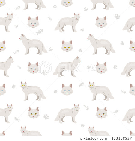 Aphrodite Giant. Cyprus cat seamless pattern. All coat colors set.  All cat breeds characteristics infographic 123168537
