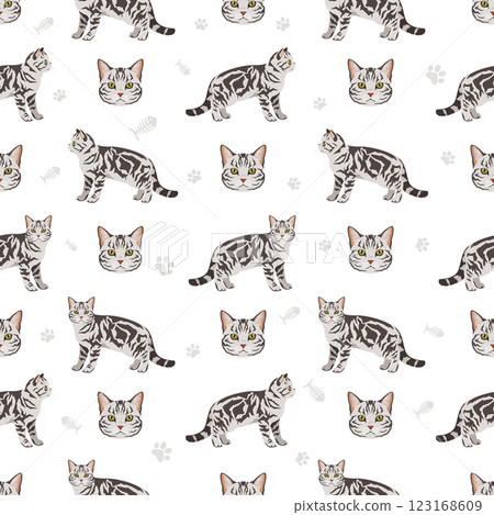 American Shorthair cat seamless pattern. All coat colors set.  All cat breeds characteristics infographic 123168609