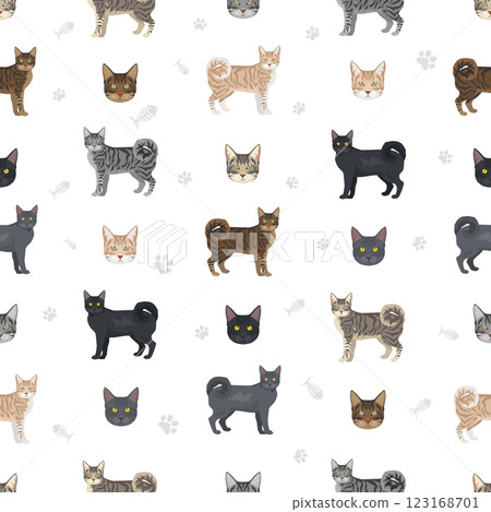 American Ringtail cat seamless pattern. All coat colors set. All cat breeds characteristics infographic American Ringtail cat seamless pattern. All coat colors set. All cat breeds characteristics infographic 123168701