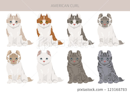 American Curl cat clipart. All coat colors set.  All cat breeds characteristics infographic 123168783