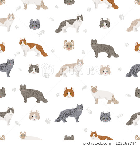 American Curl cat seamless pattern. All coat colors set.  All cat breeds characteristics infographic 123168784