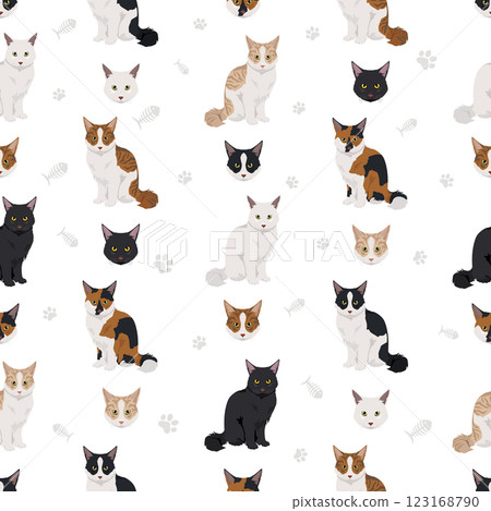 American Polydactyl cat seamless pattern. All coat colors set.  All cat breeds characteristics infographic 123168790