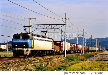 2006: EF200-18 container freight train running on the Tokaido Main Line 123168858