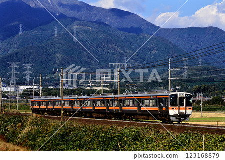 2006年:東海道本線上有四列311係本地列車運行 2006年:東海道本線上有四列311係本地列車運行 123168879