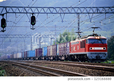 2006: EF510-6 container freight train running on the Tokaido Line 123168880