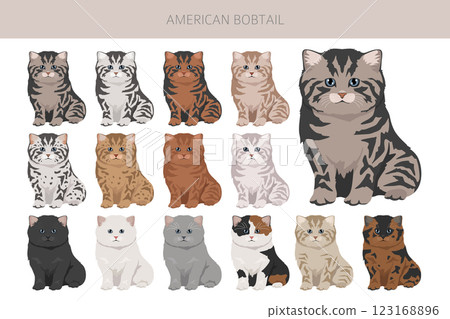 American Bobtail cat clipart. All coat colors set.  All cat breeds characteristics infographic 123168896