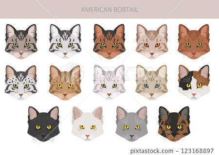 American Bobtail cat clipart. All coat colors set. All cat breeds characteristics infographic American Bobtail cat clipart. All coat colors set. All cat breeds characteristics infographic 123168897