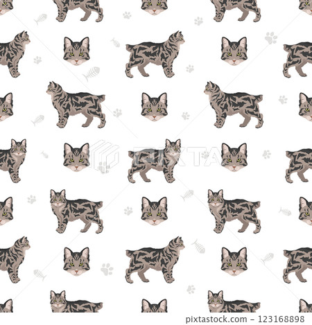 American Bobtail cat seamless pattern. All coat colors set.  All cat breeds characteristics infographic 123168898
