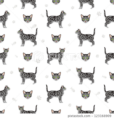 Asian shorthair Tabby cat seamless pattern. All coat colors set.  All cat breeds characteristics infographic Asian shorthair Tabby cat seamless pattern. All coat colors set.  All cat breeds characteristics infographic 123168909