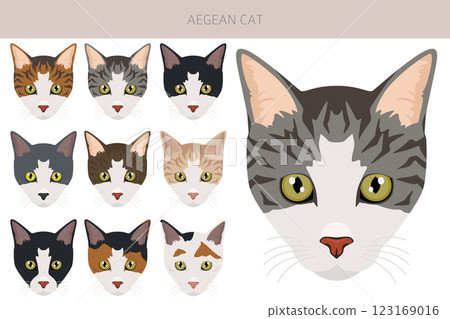Aegean cat clipart. All coat colors set. All cat breeds characteristics infographic Aegean cat clipart. All coat colors set. All cat breeds characteristics infographic 123169016