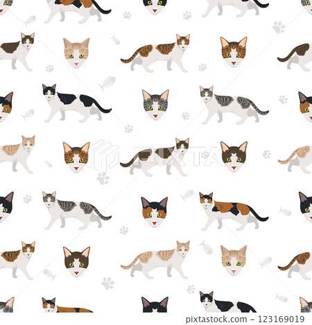 Aegean cat seamless pattern. All coat colors set.  All cat breeds characteristics infographic 123169019