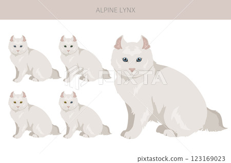Alpine Lynx clipart. Highlander, All coat colors set.  All cat breeds characteristics infographic 123169023