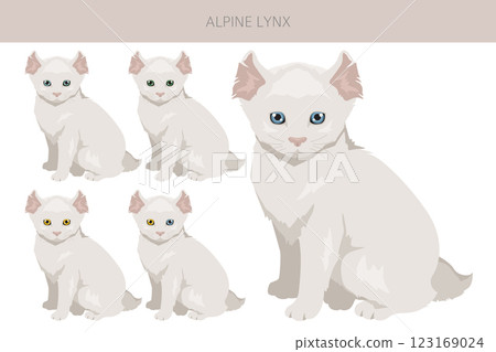 Alpine Lynx clipart. Highlander, All coat colors set. All cat breeds characteristics infographic Alpine Lynx clipart. Highlander, All coat colors set. All cat breeds characteristics infographic 123169024
