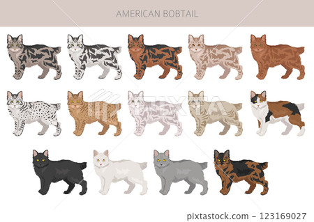 American Bobtail cat clipart. All coat colors set. All cat breeds characteristics infographic American Bobtail cat clipart. All coat colors set. All cat breeds characteristics infographic 123169027