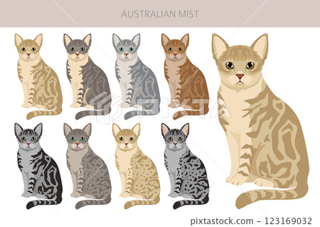 Australian Mist cat clipart. All coat colors set.  All cat breeds characteristics infographic 123169032