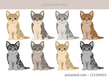 Australian Mist cat clipart. All coat colors set.  All cat breeds characteristics infographic 123169033